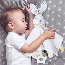Carica l&#39;immagine nel visualizzatore di Gallery, Baby Animal Sleep Comforter
